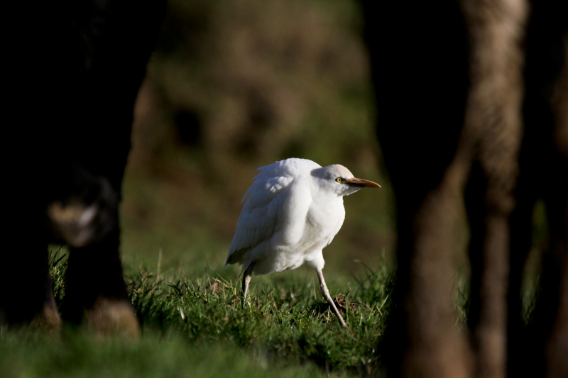 27012014-IMG_9455.JPG