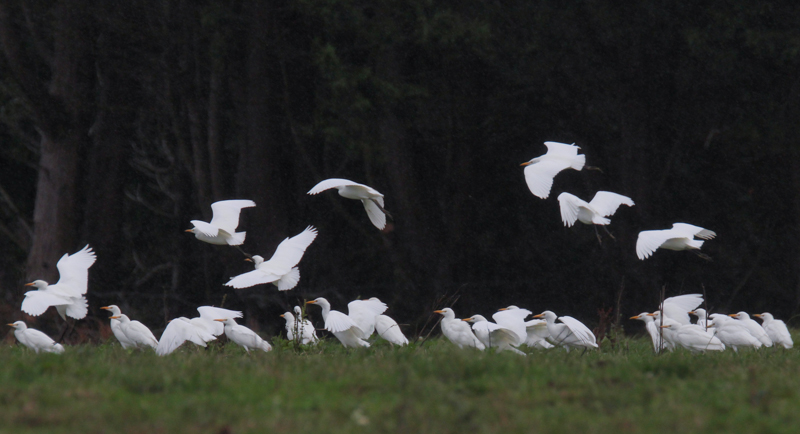 16102014-IMG_9816.JPG