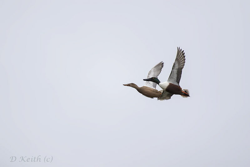 écluzelles_03-04-2015-14-21-28_0602.jpg