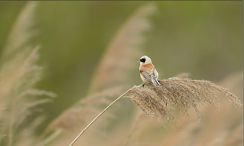 DSC_3154.JPG