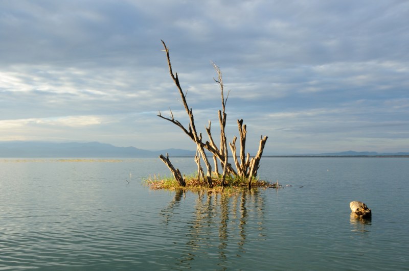 168.jpg