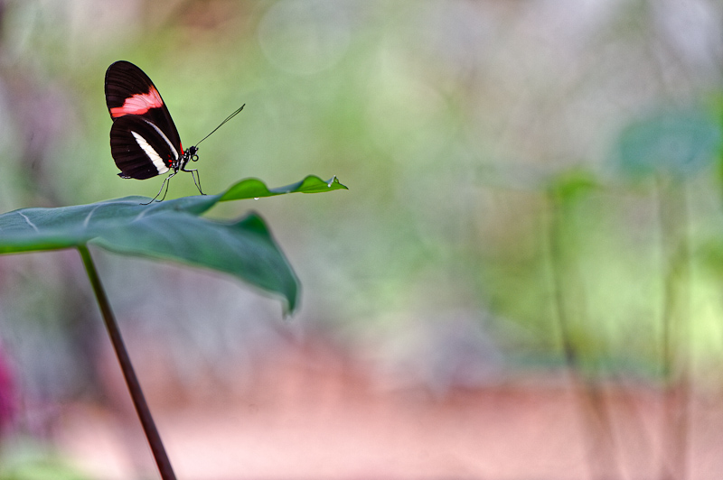 _DSC7209_DxO.jpg