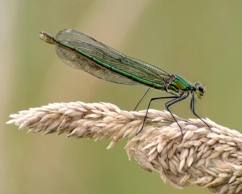 DSC_0017ajack.lecointe.jpg