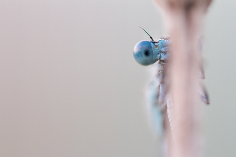_MG_6167-2-4.jpg