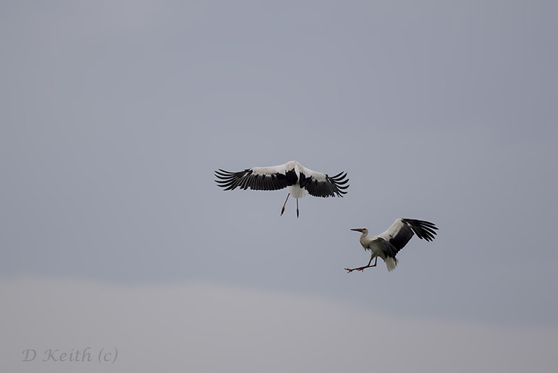 Mommenheim_05-05-2015-08-29-27_0653.jpg