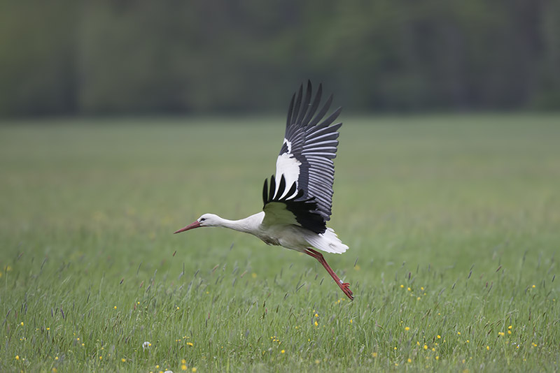 mommenheim_30.04.2015.17.43.58_0120.jpg