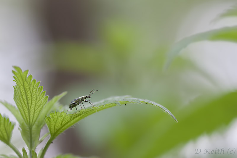 Mommenheim_05-05-2015-13-25-37_0602.jpg