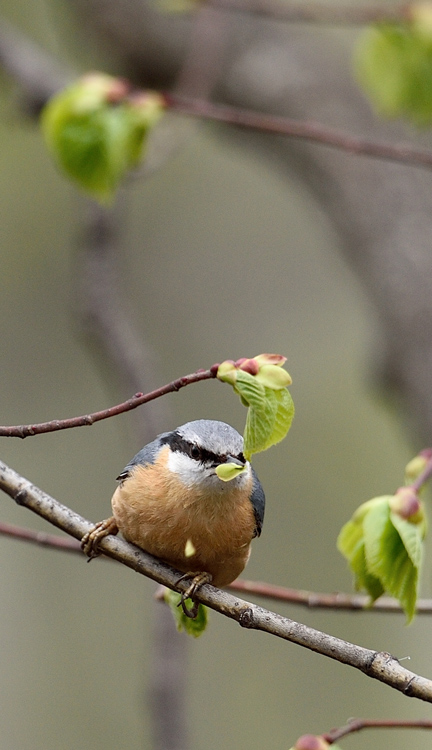 DSC_2045.jpg