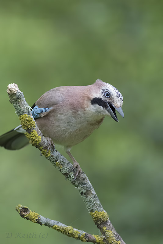séresville_10-05-2015-10-18-50_0038.jpg