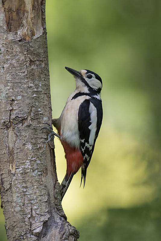séresville_13-05-2015-15-28-59_0016.jpg