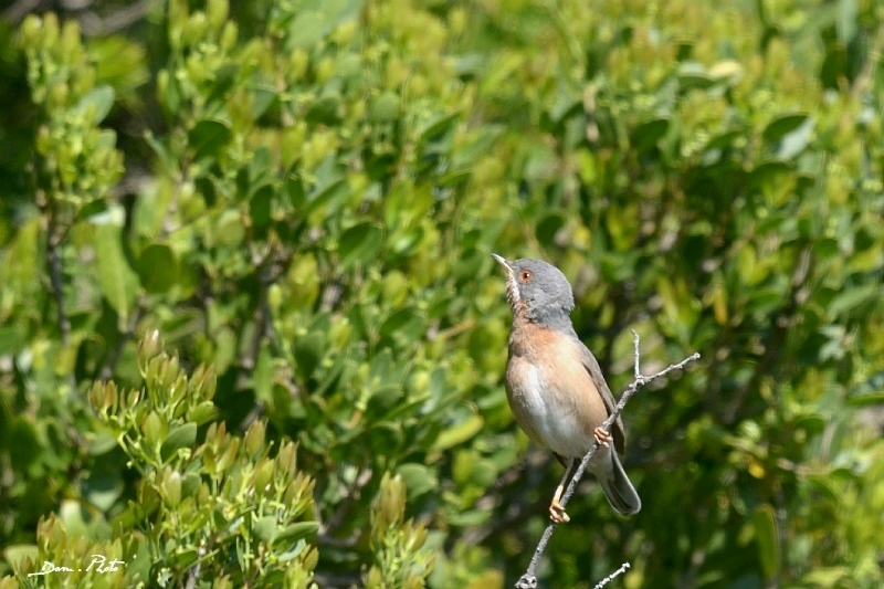 DSC_4815.JPG