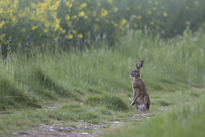 séresville_14-05-2015-19-43-27_0052.jpg