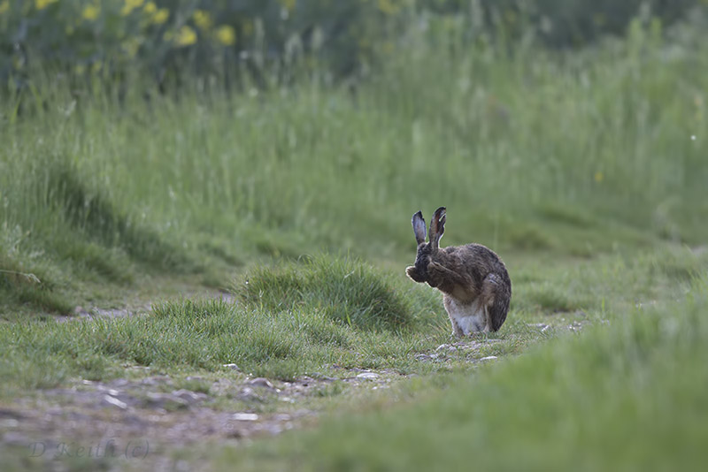 séresville_14-05-2015-19-43-55_0082.jpg