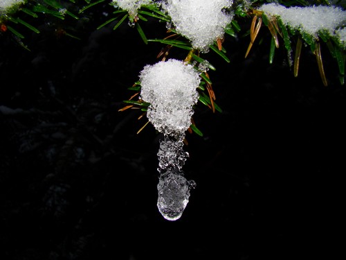 goutte glaciÃ©re.JPG