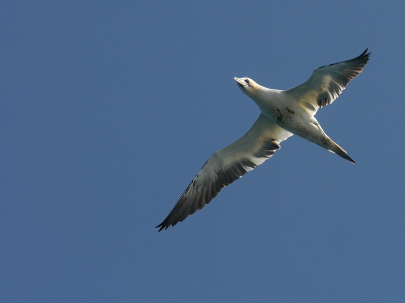 P1460385r.jpg