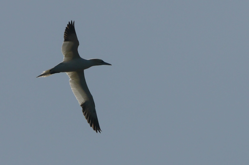 P1460439r.jpg