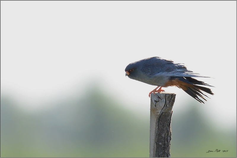DSC_6283.JPG