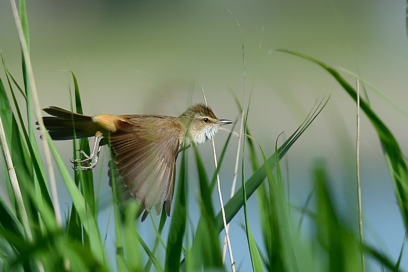 DSC_6152.JPG
