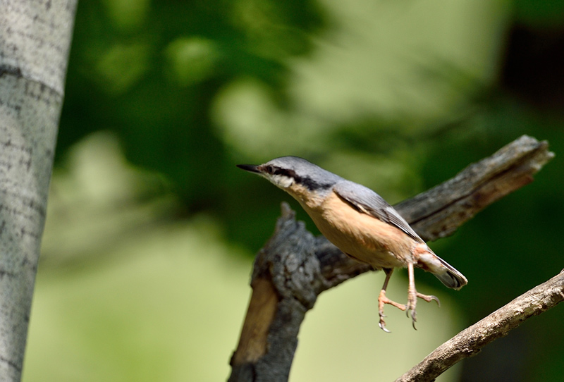 DSC_3327.jpg