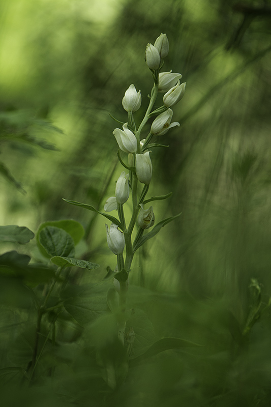 _DSC9337-Modifier_modifié-1.jpg