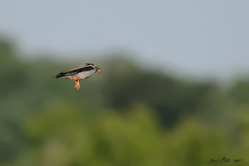 DSC_6813.JPG