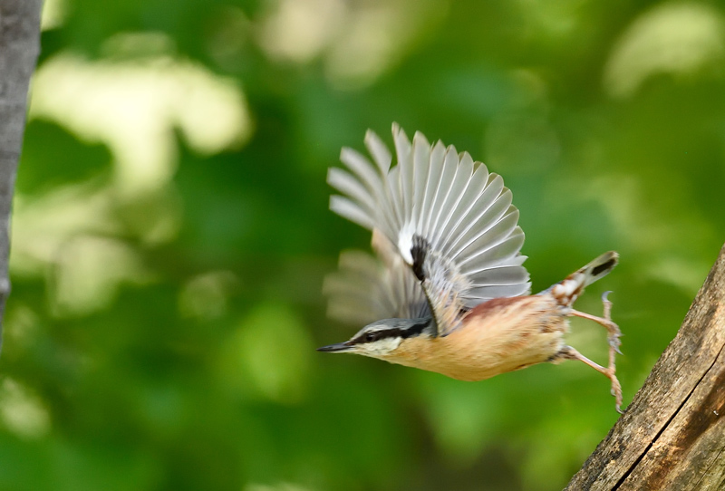DSC_4012.jpg
