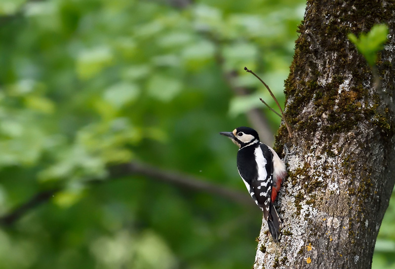 DSC_3279.jpg