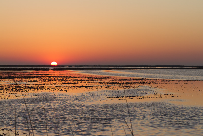 Coucher de soleil en Camargue.jpg