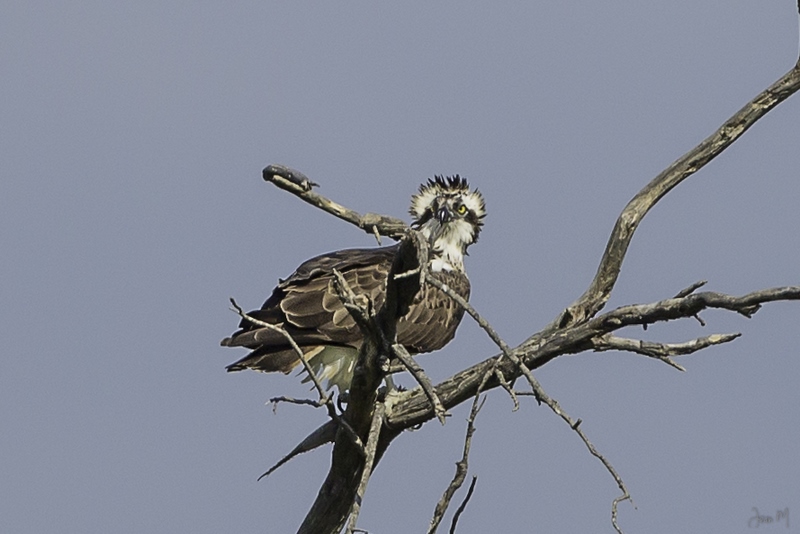 25052015-ED8A1607 (Copier).jpg