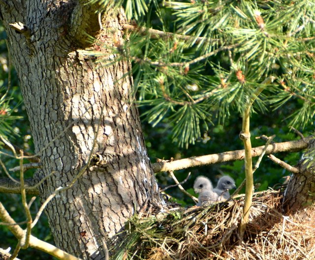 DSC_8836.JPG
