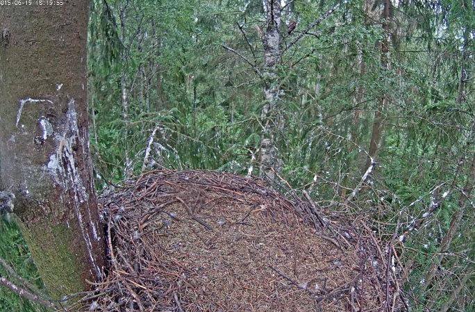 oukilé.jpg