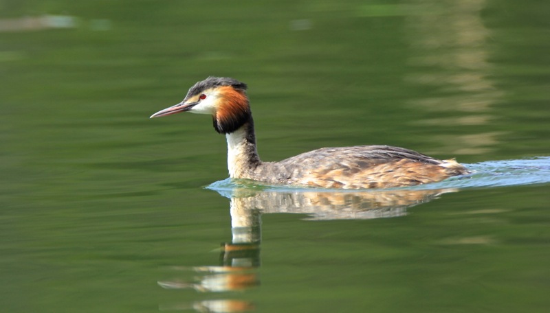 IMG_0349 - Version 2.jpg