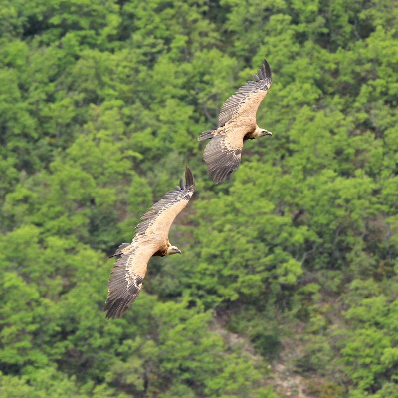 IMG_0592 - Version 2.jpg