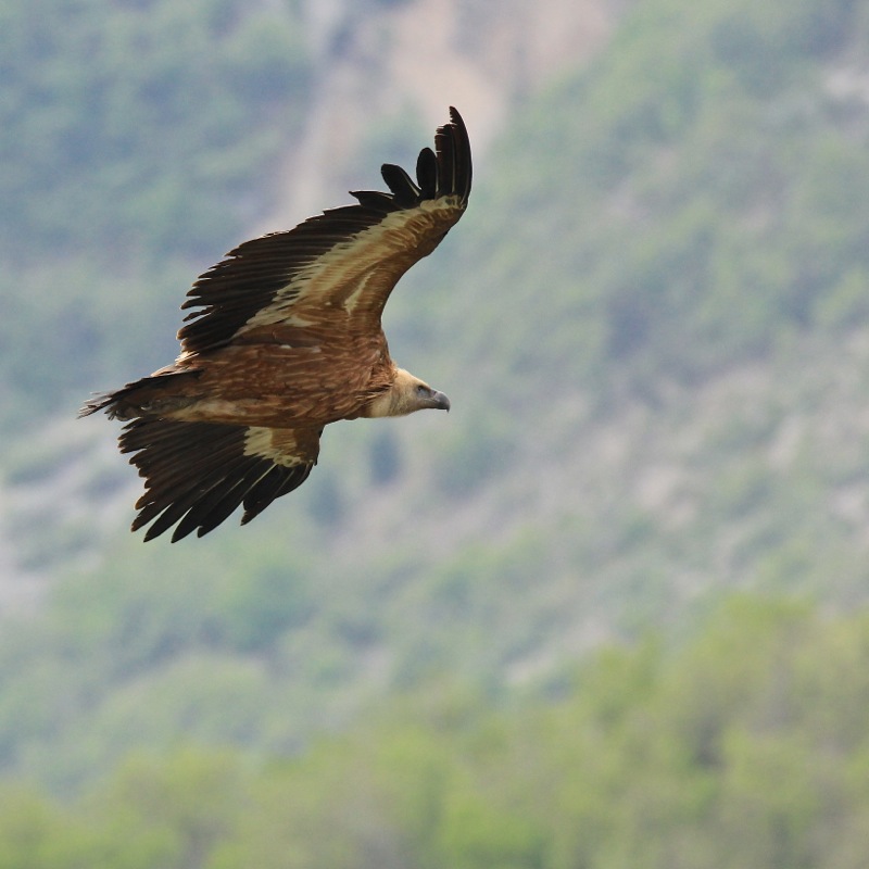 IMG_0583 - Version 2.jpg