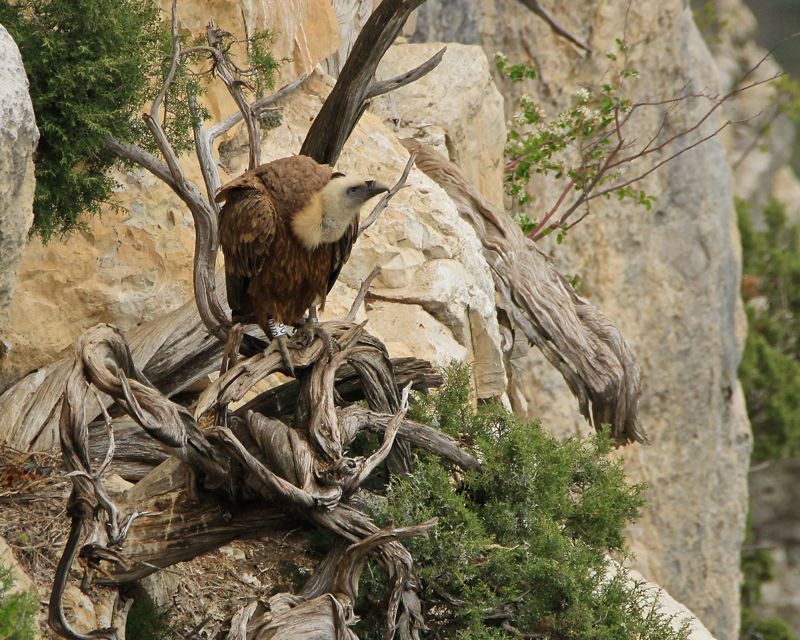 IMG_0612 - Version 2.jpg
