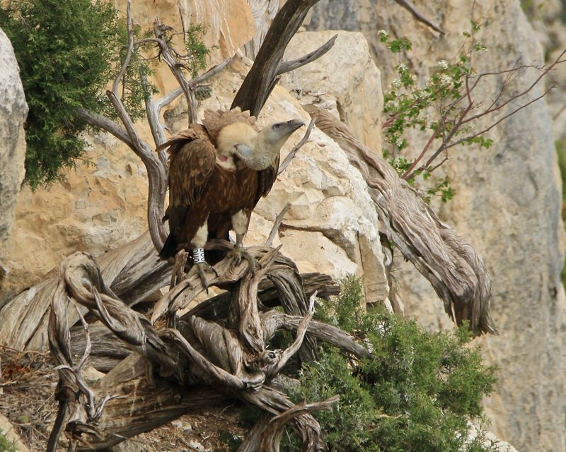 IMG_0609 - Version 2.jpg