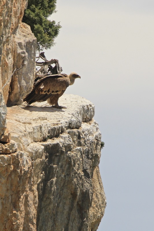 IMG_0622 - Version 2.jpg