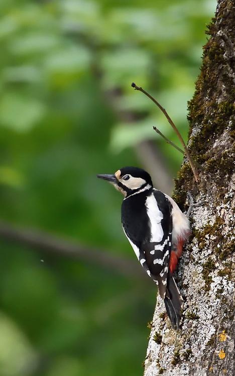 DSC_3281.jpg