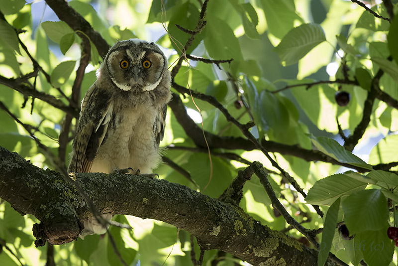 mommenheim_01-07-2015-10-51-34_0384.jpg