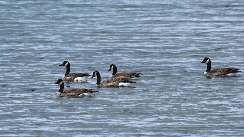 IMG_6773.jpg