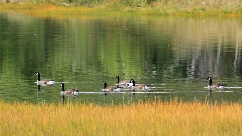 IMG_6770.jpg