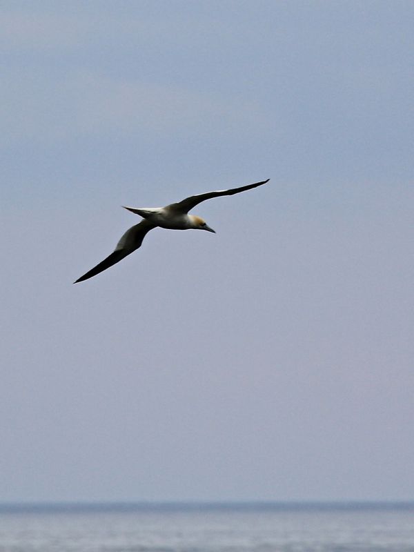 IMG_6891.jpg