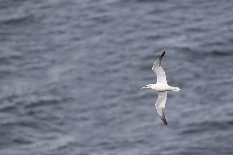 cap fréhel_27-07-2015-19-19-02_0034.jpg