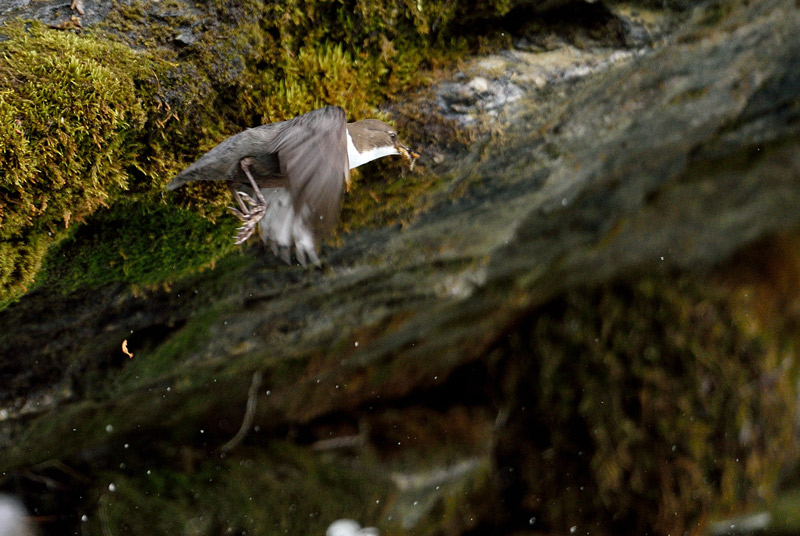 DSC_4973.jpg