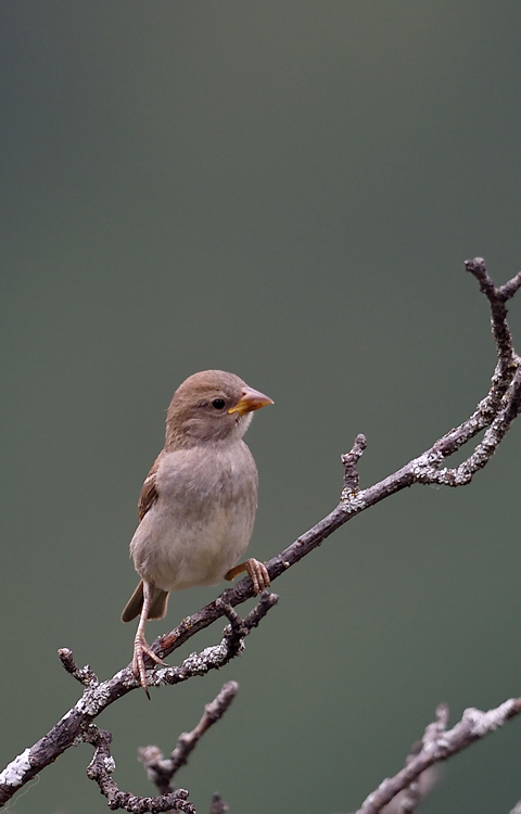 DSC_1848.jpg