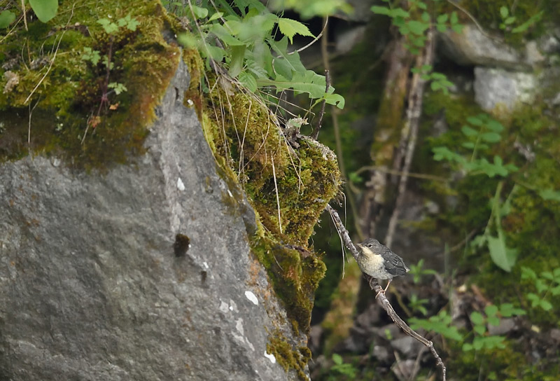 DSC_7547.jpg