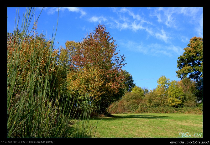 cIMG_4306-border.jpg