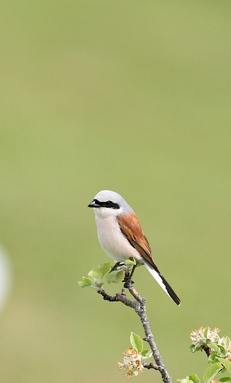 DSC_6655.jpg