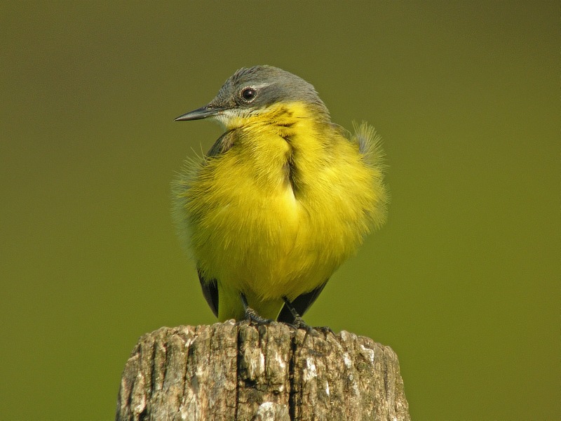 DSCN2358.jpg