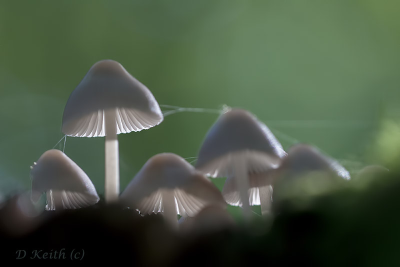 Montécot_20-09-2015-09-02-37_0047.jpg